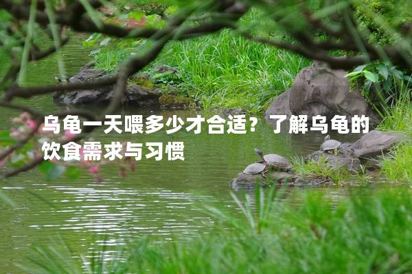 乌龟一天喂多少才合适？了解乌龟的饮食需求与习惯