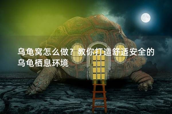 乌龟窝怎么做？教你打造舒适安全的乌龟栖息环境