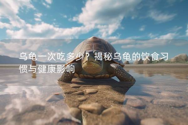 乌龟一次吃多少？揭秘乌龟的饮食习惯与健康影响