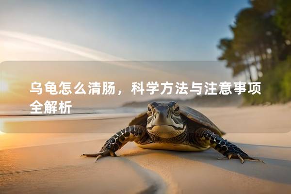 乌龟怎么清肠，科学方法与注意事项全解析