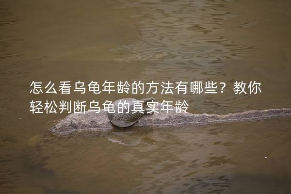 怎么看乌龟年龄的方法有哪些？教你轻松判断乌龟的真实年龄