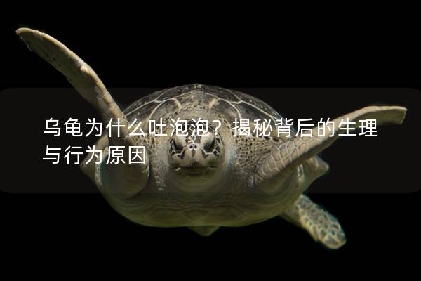 乌龟为什么吐泡泡？揭秘背后的生理与行为原因