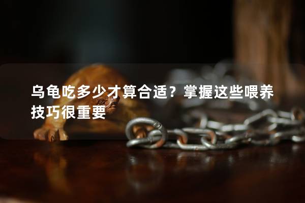 乌龟吃多少才算合适？掌握这些喂养技巧很重要