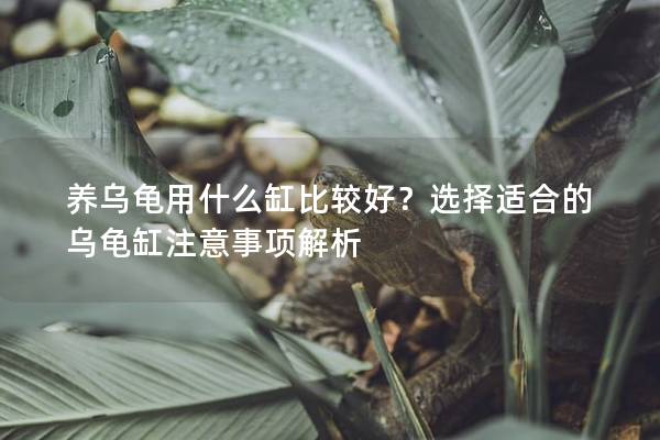 养乌龟用什么缸比较好？选择适合的乌龟缸注意事项解析