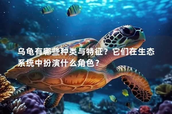 乌龟有哪些种类与特征？它们在生态系统中扮演什么角色？