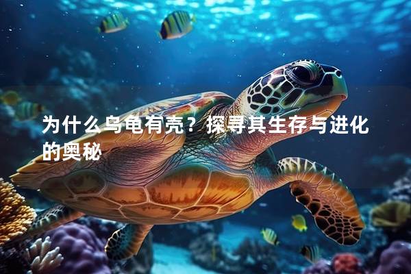 为什么乌龟有壳？探寻其生存与进化的奥秘