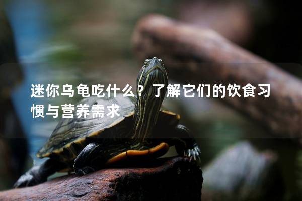 迷你乌龟吃什么？了解它们的饮食习惯与营养需求