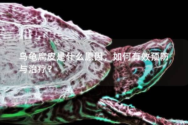 乌龟腐皮是什么原因，如何有效预防与治疗？