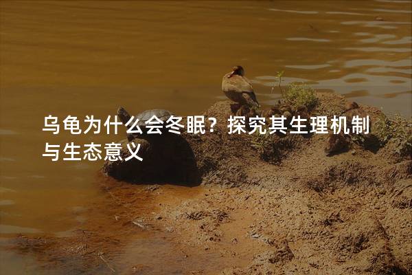 乌龟为什么会冬眠？探究其生理机制与生态意义