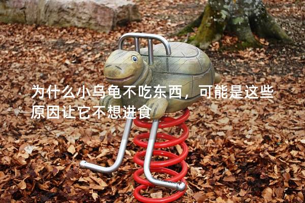 为什么小乌龟不吃东西，可能是这些原因让它不想进食