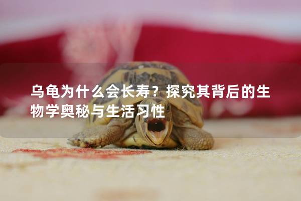乌龟为什么会长寿？探究其背后的生物学奥秘与生活习性