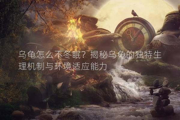乌龟怎么不冬眠？揭秘乌龟的独特生理机制与环境适应能力