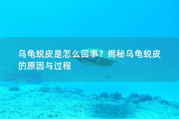 乌龟蜕皮是怎么回事？揭秘乌龟蜕皮的原因与过程