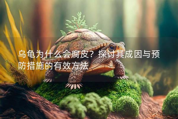 乌龟为什么会腐皮？探讨其成因与预防措施的有效方法