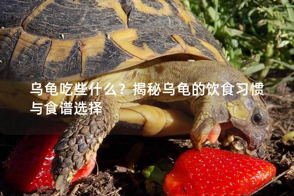 乌龟吃些什么？揭秘乌龟的饮食习惯与食谱选择