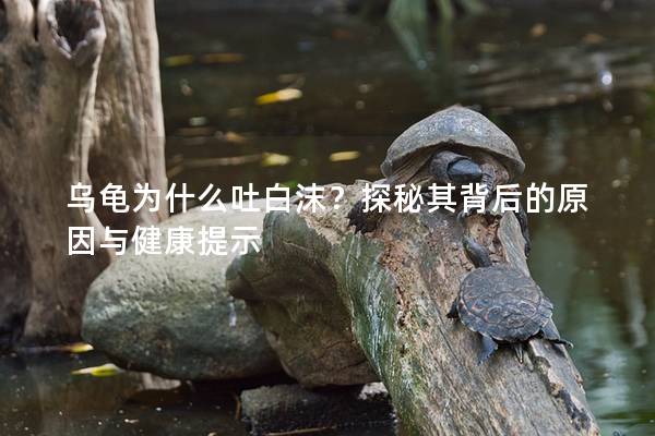 乌龟为什么吐白沫？探秘其背后的原因与健康提示