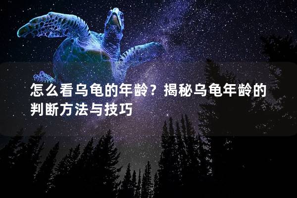 怎么看乌龟的年龄？揭秘乌龟年龄的判断方法与技巧