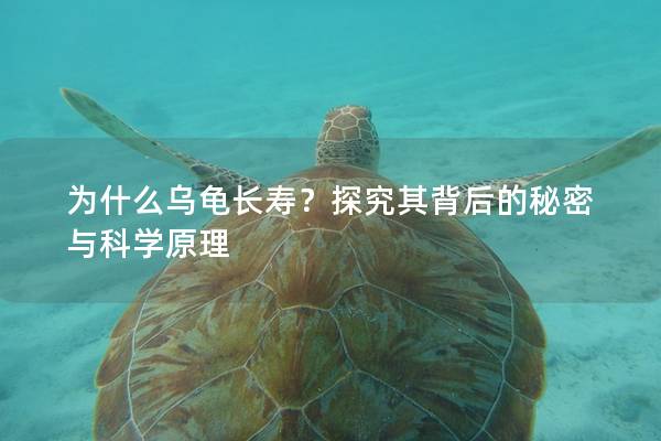 为什么乌龟长寿？探究其背后的秘密与科学原理