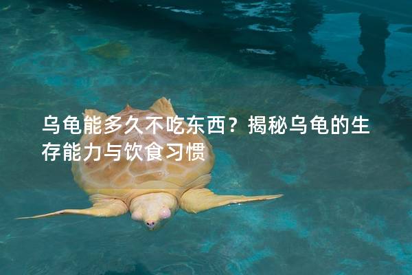 乌龟能多久不吃东西？揭秘乌龟的生存能力与饮食习惯