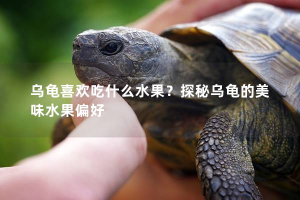 乌龟喜欢吃什么水果？探秘乌龟的美味水果偏好