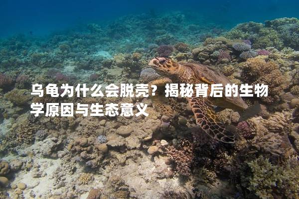 乌龟为什么会脱壳？揭秘背后的生物学原因与生态意义