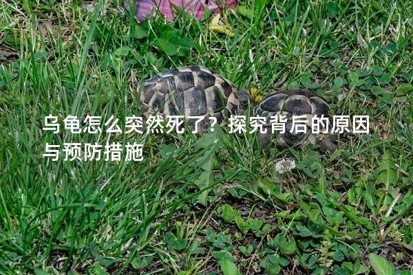 乌龟怎么突然死了？探究背后的原因与预防措施