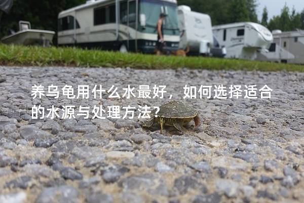 养乌龟用什么水最好，如何选择适合的水源与处理方法？