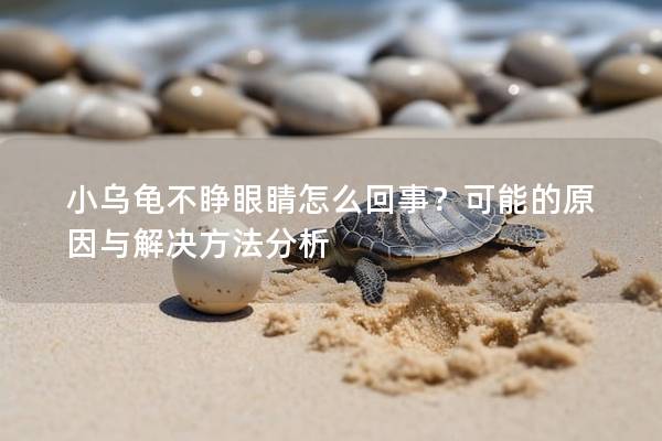 小乌龟不睁眼睛怎么回事？可能的原因与解决方法分析