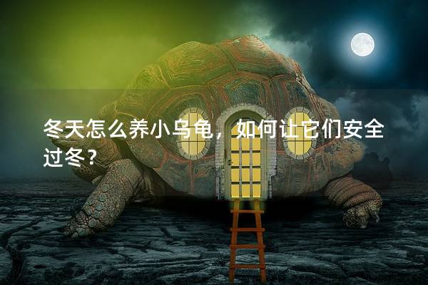 冬天怎么养小乌龟，如何让它们安全过冬？