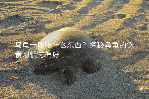 乌龟一般吃什么东西？探秘乌龟的饮食习惯与偏好