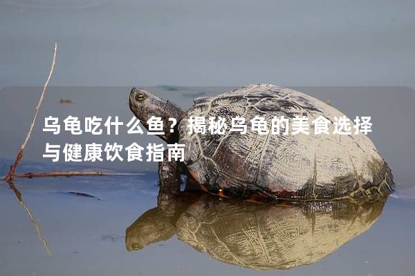 乌龟吃什么鱼？揭秘乌龟的美食选择与健康饮食指南