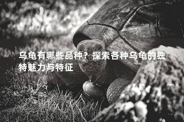 乌龟有哪些品种？探索各种乌龟的独特魅力与特征