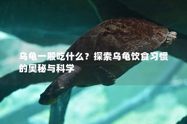 乌龟一般吃什么？探索乌龟饮食习惯的奥秘与科学