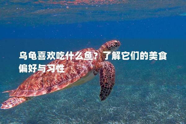 乌龟喜欢吃什么鱼？了解它们的美食偏好与习性