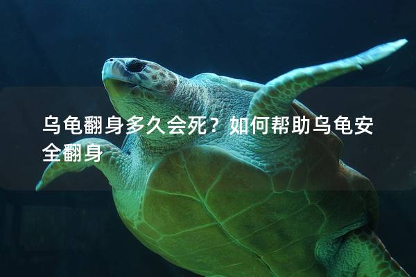 乌龟翻身多久会死？如何帮助乌龟安全翻身