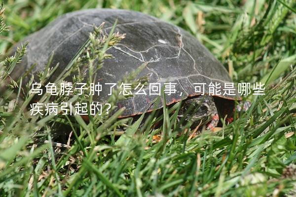 乌龟脖子肿了怎么回事，可能是哪些疾病引起的？