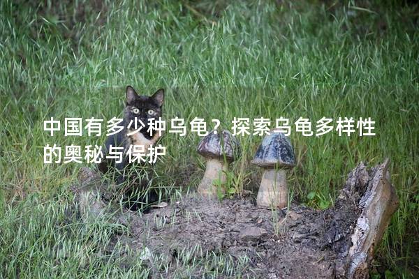 中国有多少种乌龟？探索乌龟多样性的奥秘与保护