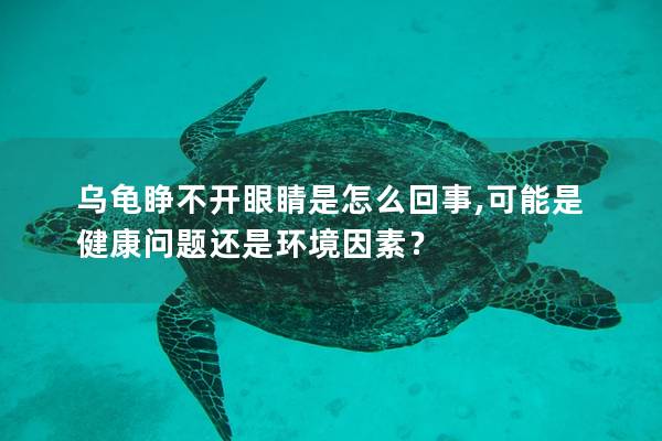 乌龟睁不开眼睛是怎么回事,可能是健康问题还是环境因素？
