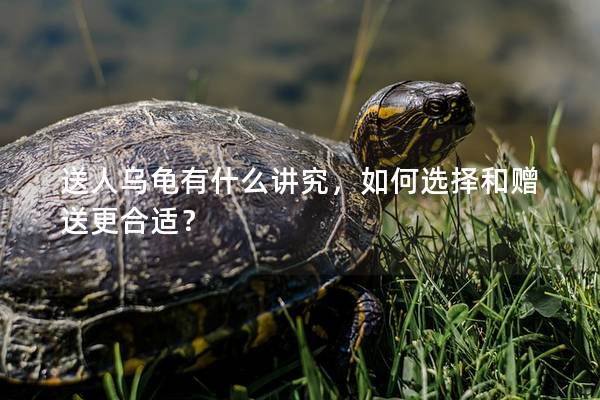 送人乌龟有什么讲究，如何选择和赠送更合适？