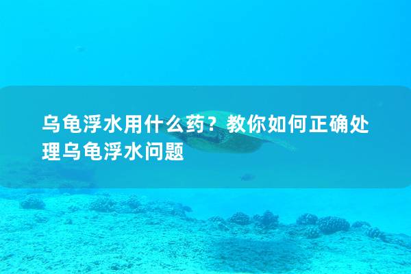 乌龟浮水用什么药？教你如何正确处理乌龟浮水问题