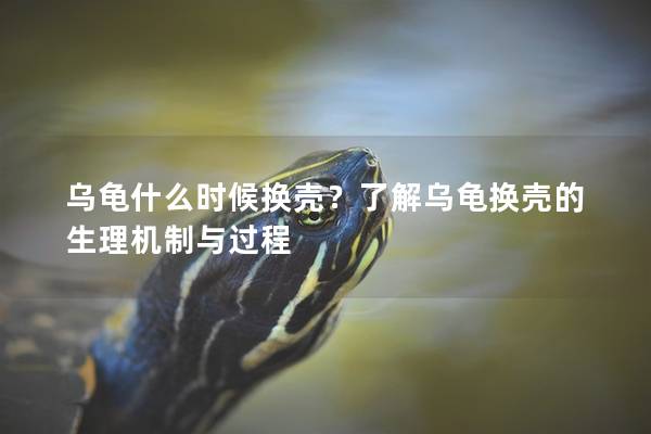 乌龟什么时候换壳？了解乌龟换壳的生理机制与过程