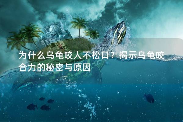 为什么乌龟咬人不松口？揭示乌龟咬合力的秘密与原因