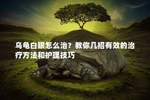 乌龟白眼怎么治？教你几招有效的治疗方法和护理技巧