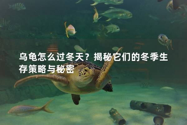 乌龟怎么过冬天？揭秘它们的冬季生存策略与秘密