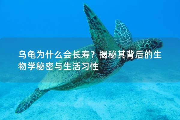 乌龟为什么会长寿？揭秘其背后的生物学秘密与生活习性