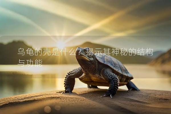 乌龟的壳是什么？揭示其神秘的结构与功能