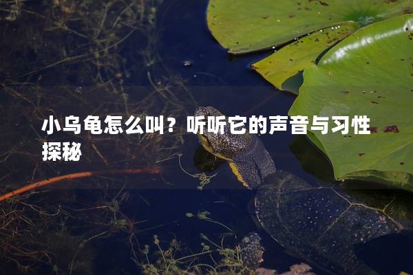 小乌龟怎么叫？听听它的声音与习性探秘