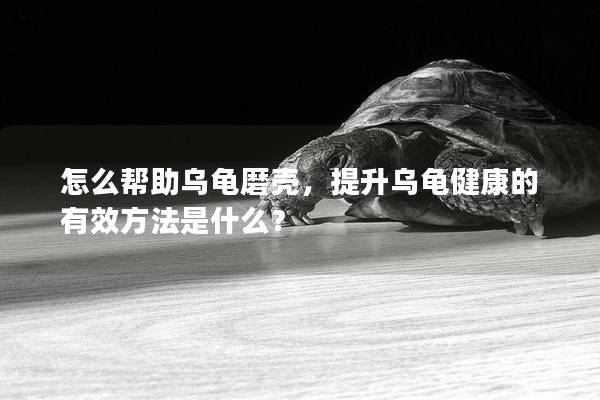 怎么帮助乌龟磨壳，提升乌龟健康的有效方法是什么？