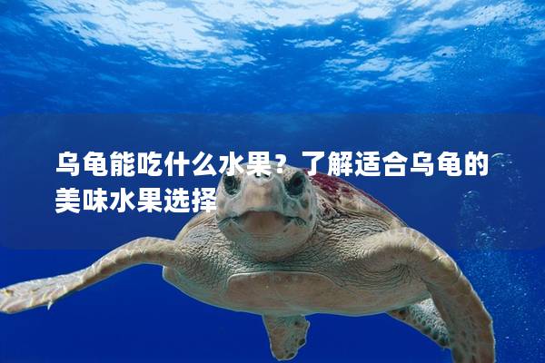 乌龟能吃什么水果？了解适合乌龟的美味水果选择