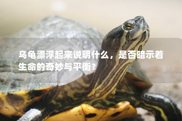 乌龟漂浮起来说明什么，是否暗示着生命的奇妙与平衡？